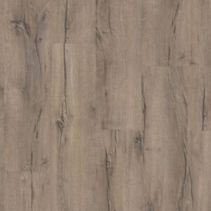 Mountain Oak